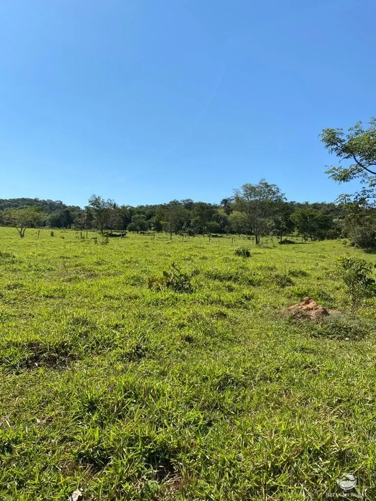 Fazenda à venda de 212 ha em Brasília, DF, Brasil
