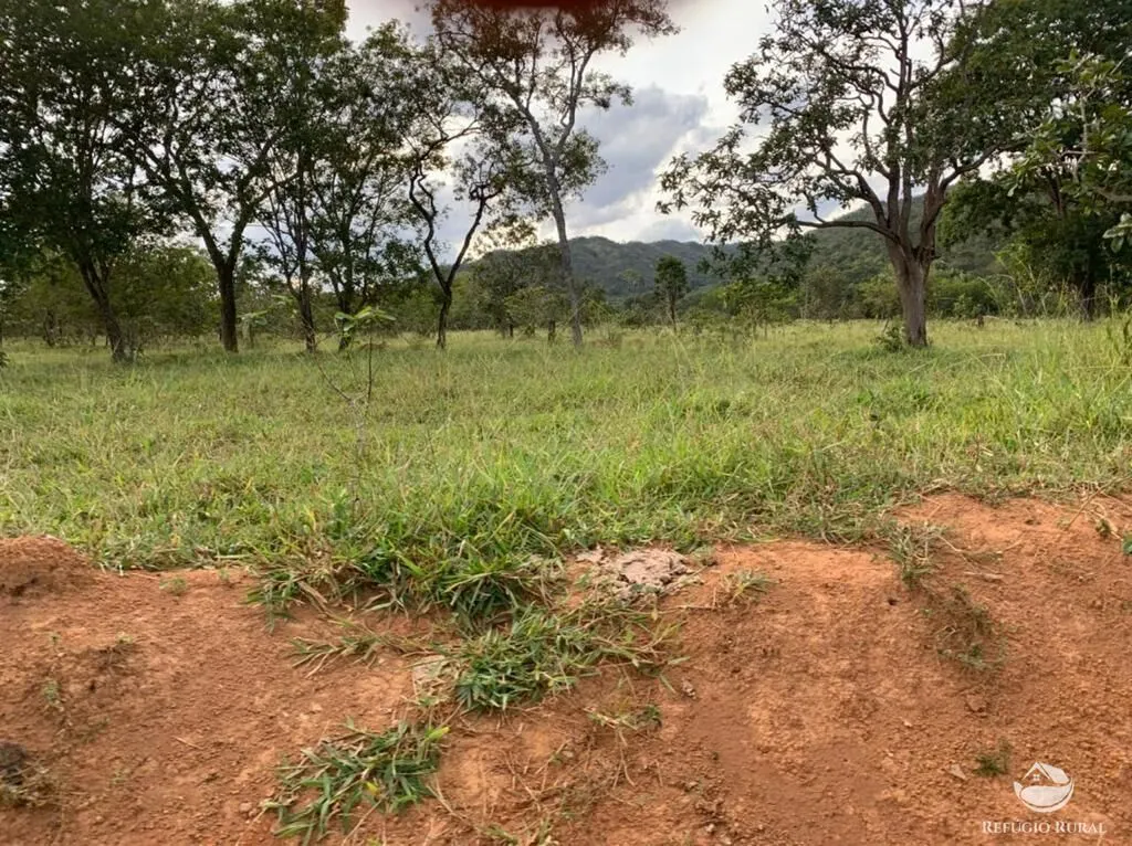 Fazenda à venda de 212 ha em Brasília, DF, Brasil