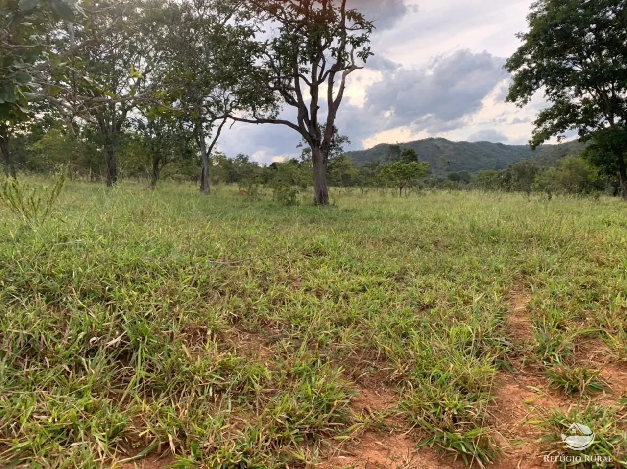 Fazenda à venda de 212 ha em Brasília, DF, Brasil