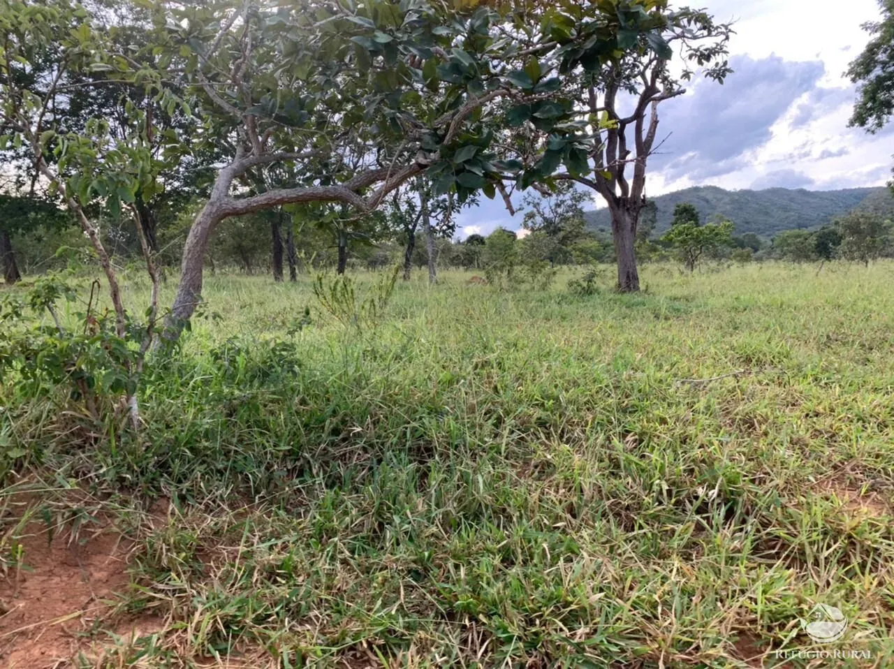 Fazenda à venda de 212 ha em Brasília, DF, Brasil