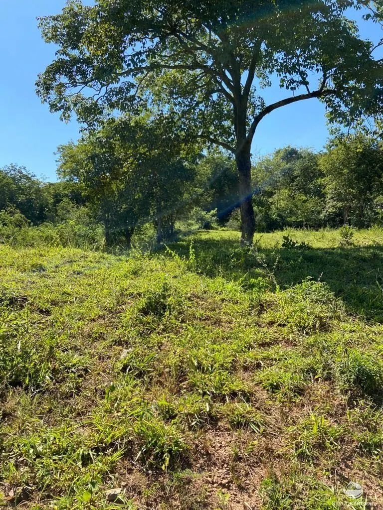 Fazenda à venda de 212 ha em Brasília, DF, Brasil
