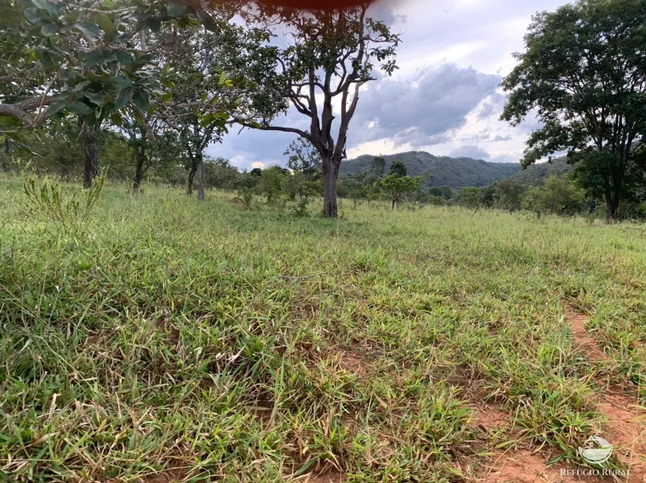 Fazenda à venda de 212 ha em Brasília, DF, Brasil