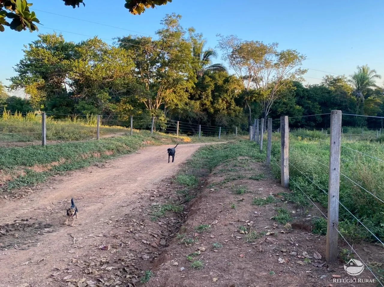 Fazenda à venda de 212 ha em Brasília, DF, Brasil