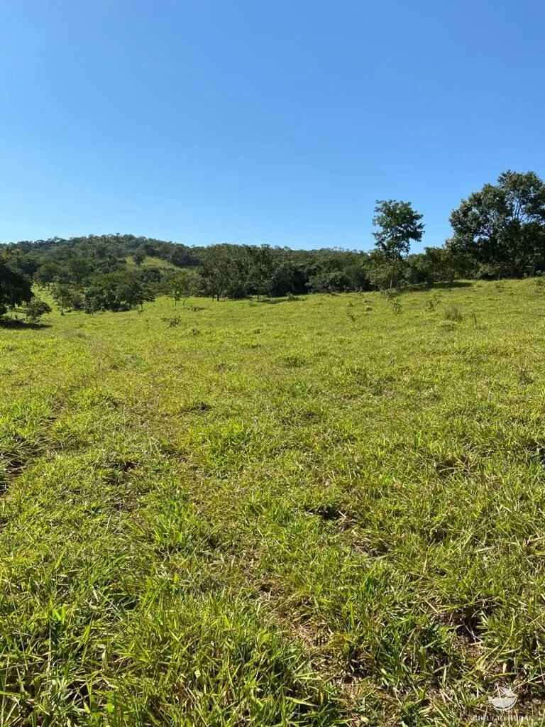 Fazenda à venda de 212 ha em Brasília, DF, Brasil