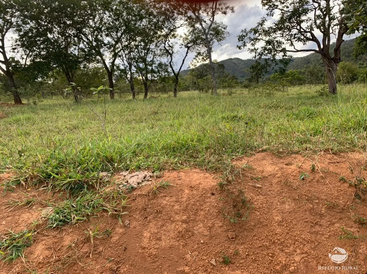 Fazenda à venda de 212 ha em Brasília, DF, Brasil