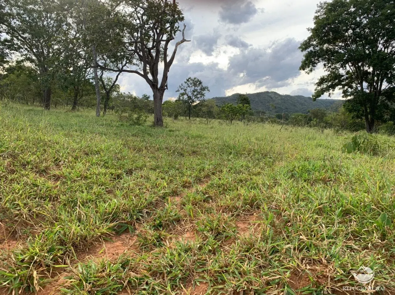 Fazenda à venda de 212 ha em Brasília, DF, Brasil