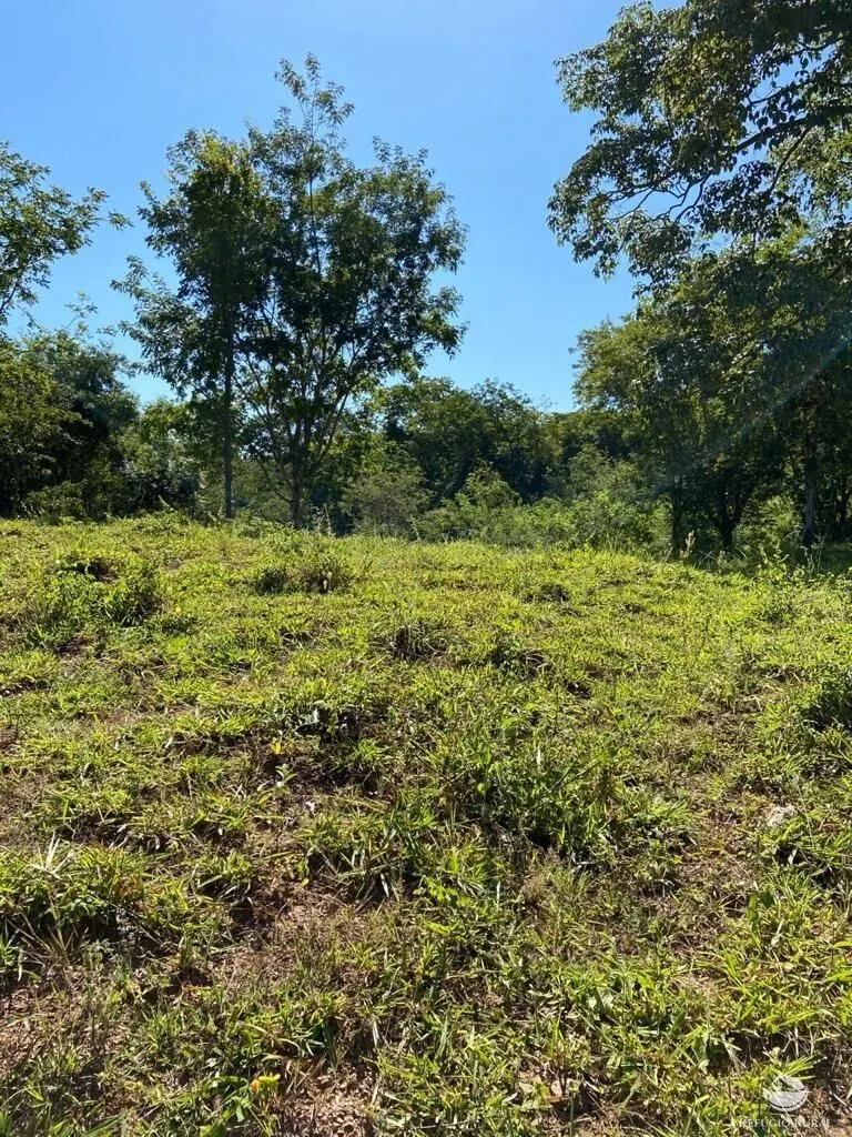 Fazenda à venda de 212 ha em Brasília, DF, Brasil