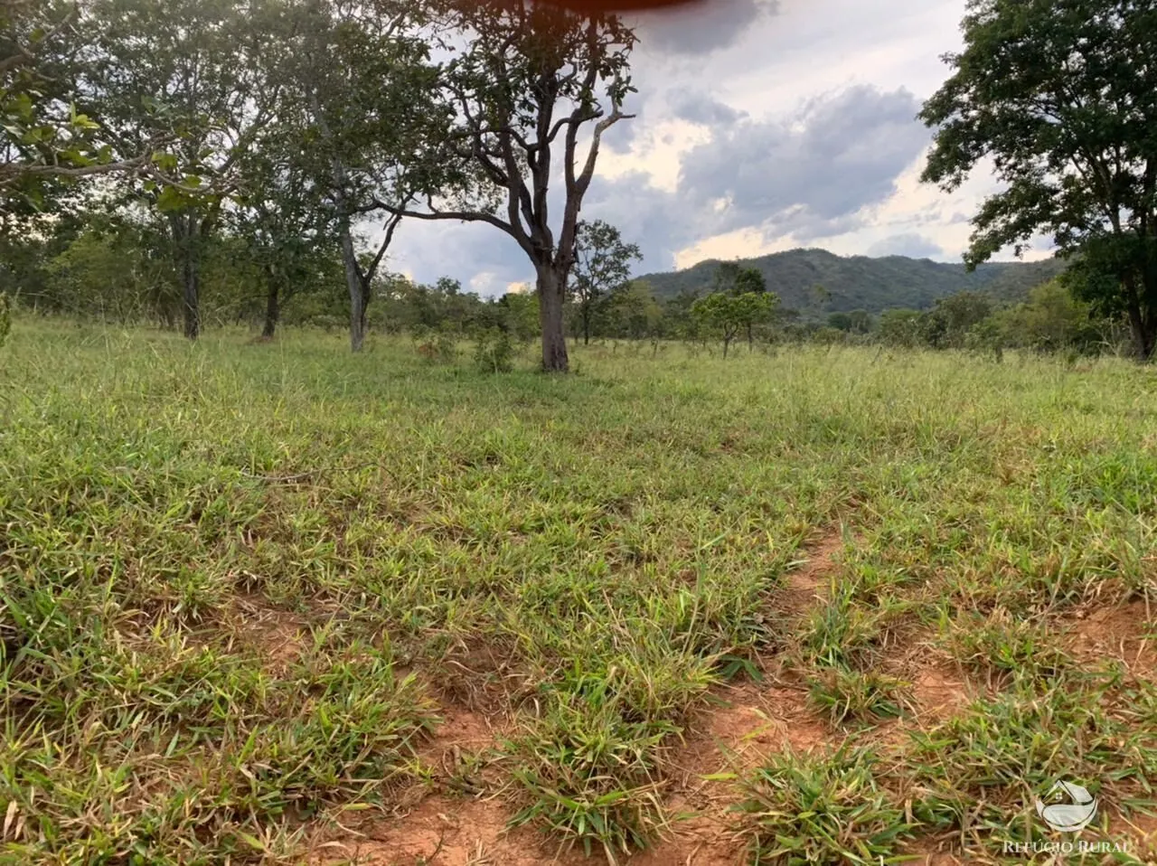 Fazenda à venda de 212 ha em Brasília, DF, Brasil