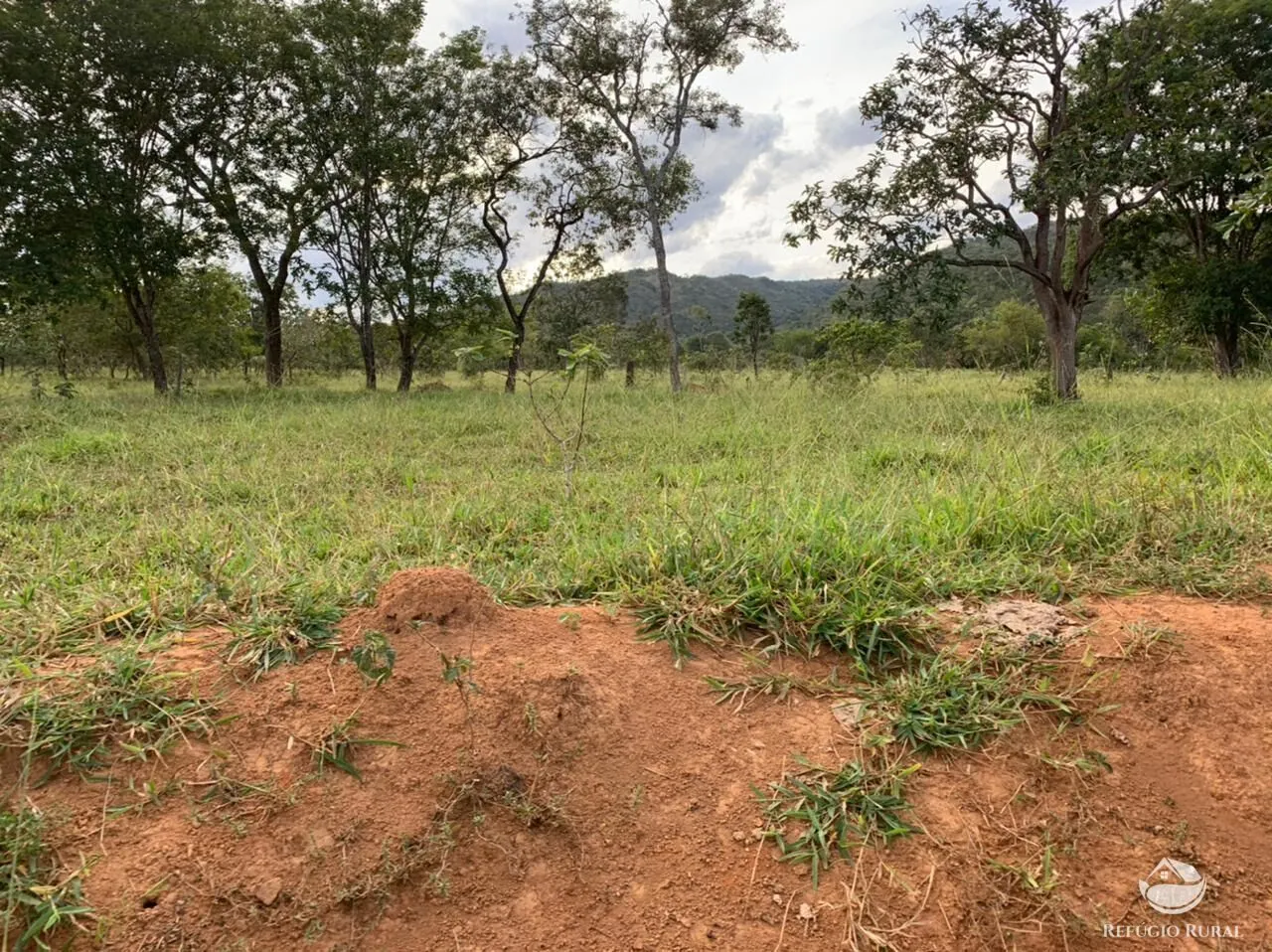 Fazenda à venda de 212 ha em Brasília, DF, Brasil