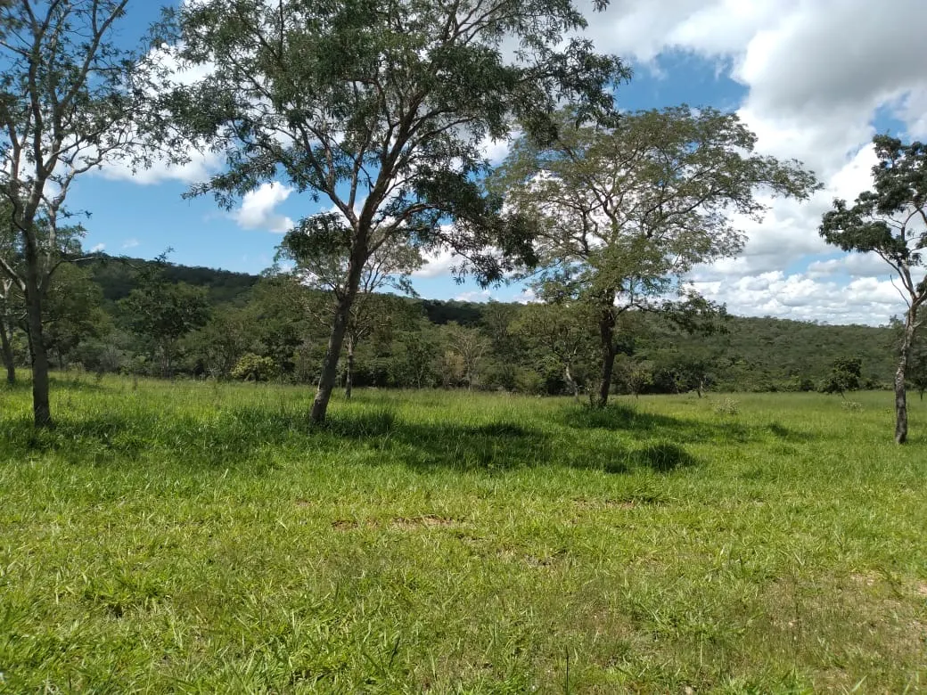 Farm for sale of 124 acres in Orizona, GO, Brazil