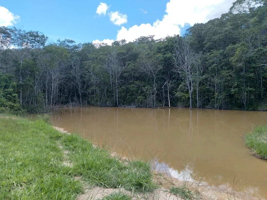 Farm for sale of 124 acres in Orizona, GO, Brazil