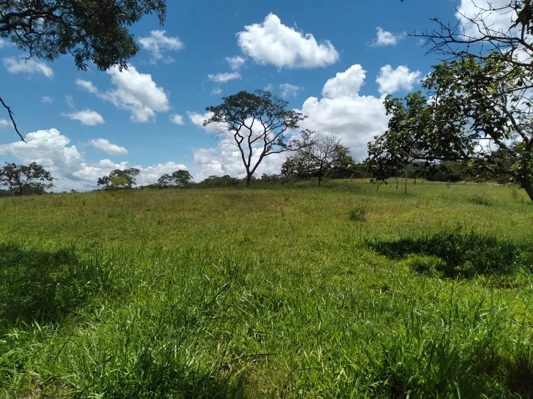 Farm for sale of 124 acres in Orizona, GO, Brazil