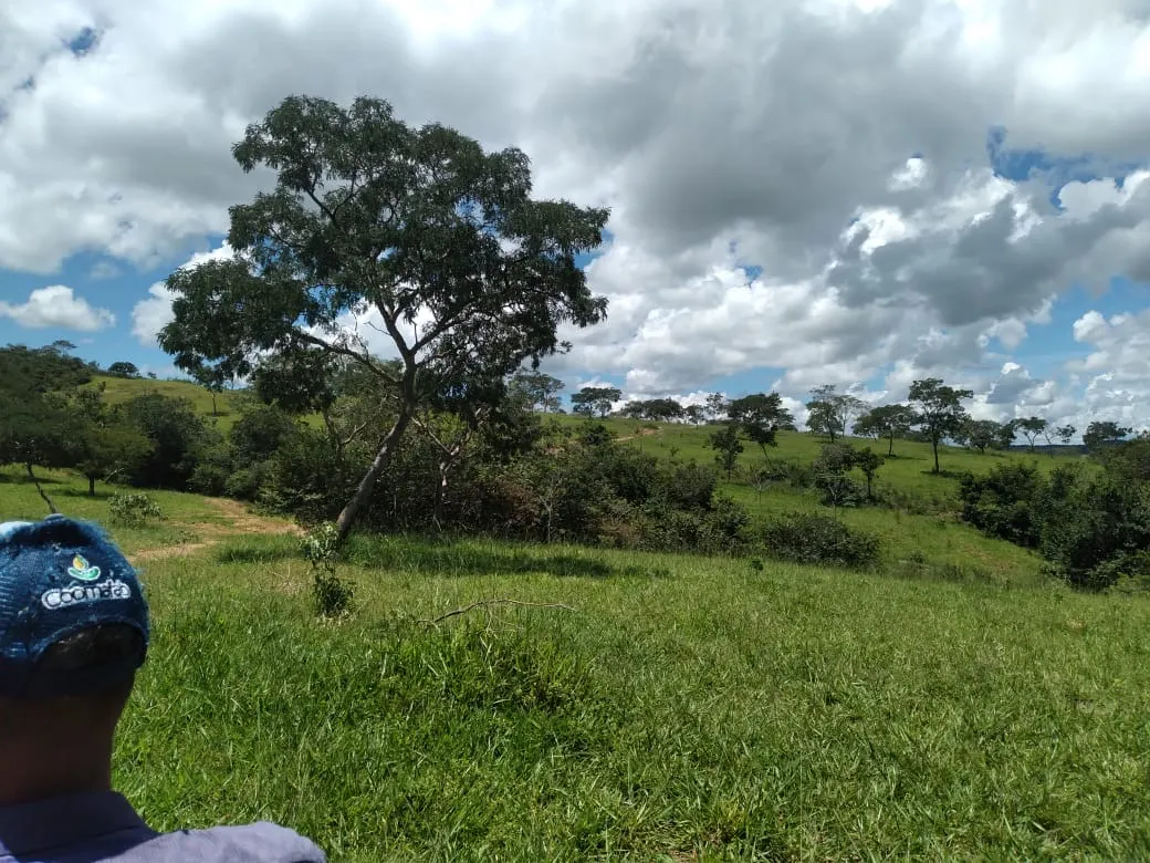 Farm for sale of 124 acres in Orizona, GO, Brazil
