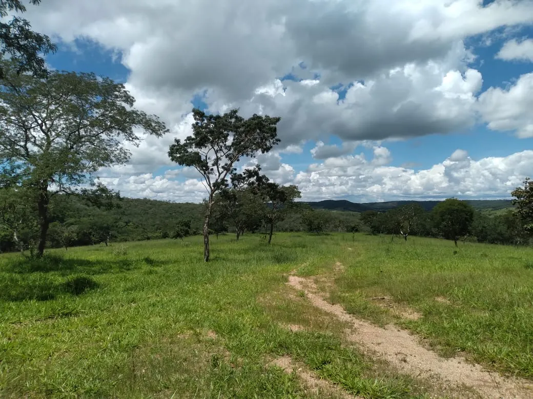 Farm for sale of 124 acres in Orizona, GO, Brazil