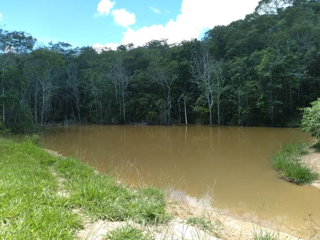 Farm for sale of 124 acres in Orizona, GO, Brazil