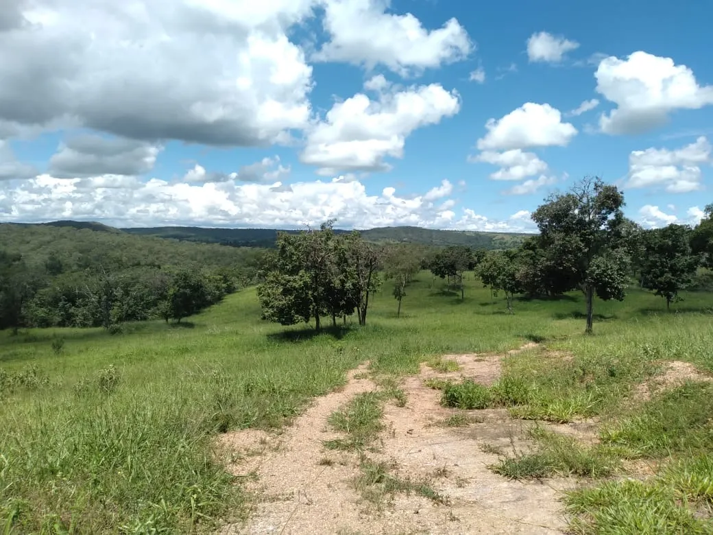 Farm for sale of 124 acres in Orizona, GO, Brazil
