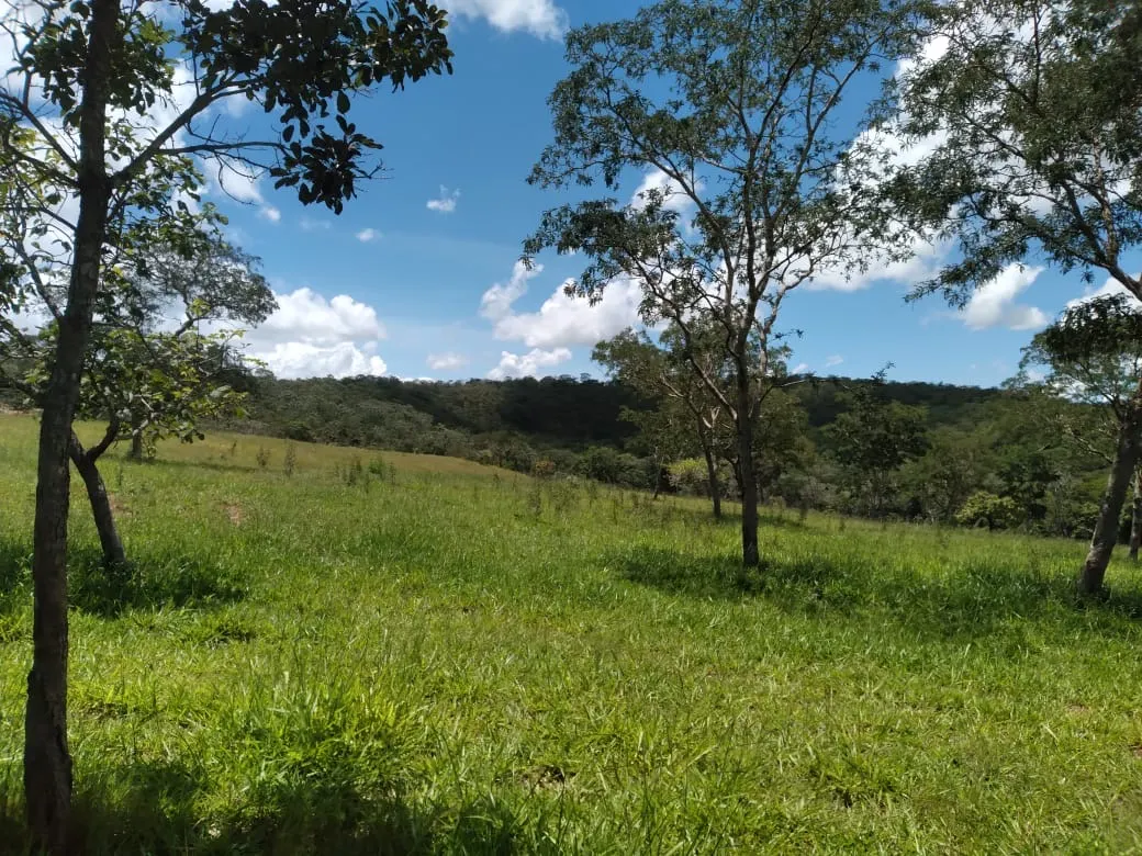 Farm for sale of 124 acres in Orizona, GO, Brazil