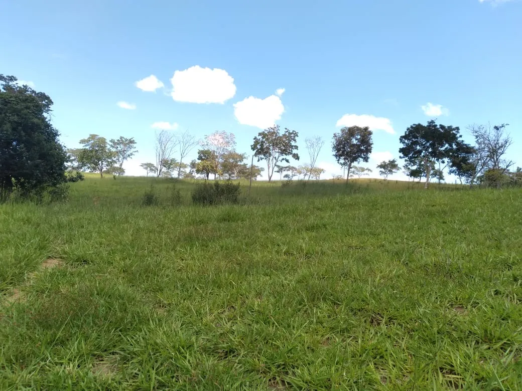Farm for sale of 124 acres in Orizona, GO, Brazil