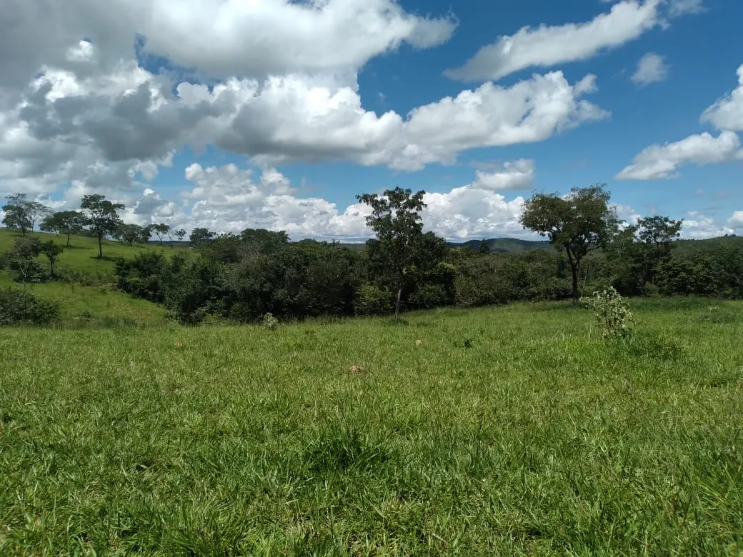 Farm for sale of 124 acres in Orizona, GO, Brazil