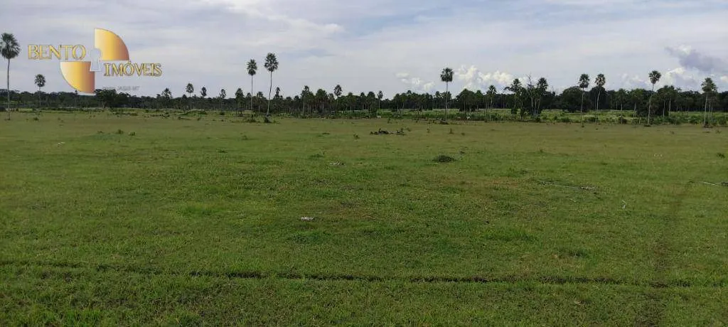 Fazenda à venda de 721 ha em Poconé, MT, Brasil