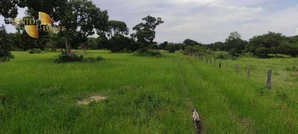 Fazenda à venda de 721 ha em Poconé, MT, Brasil