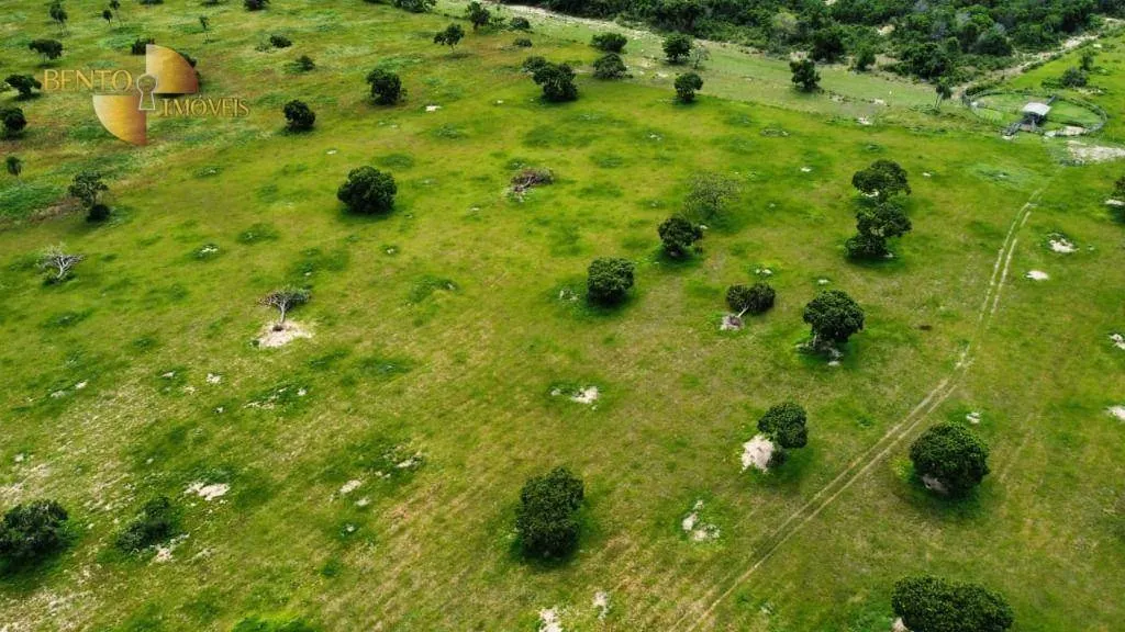 Fazenda à venda de 721 ha em Poconé, MT, Brasil