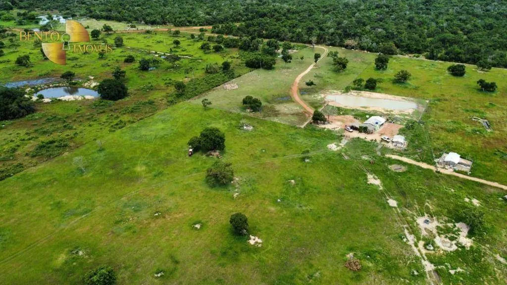 Fazenda à venda de 721 ha em Poconé, MT, Brasil