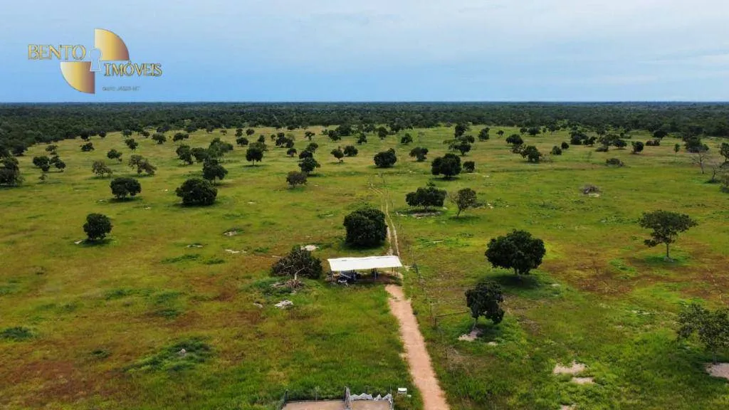 Fazenda à venda de 721 ha em Poconé, MT, Brasil