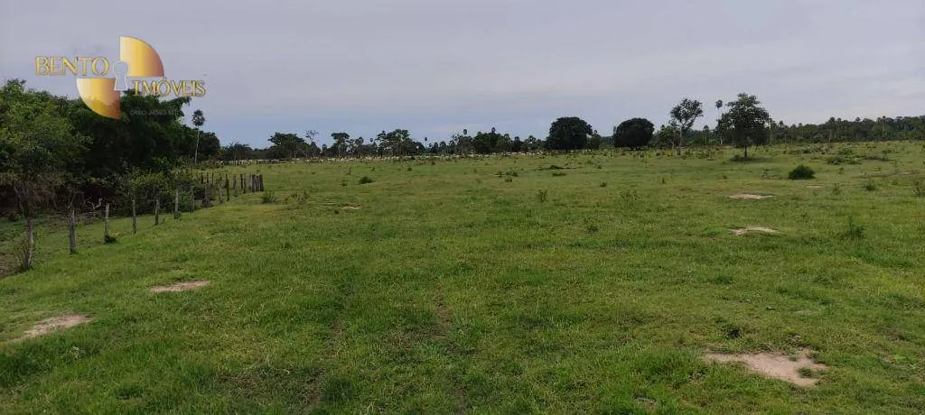 Fazenda à venda de 721 ha em Poconé, MT, Brasil