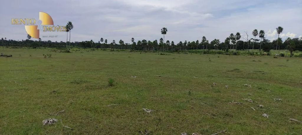 Fazenda à venda de 721 ha em Poconé, MT, Brasil
