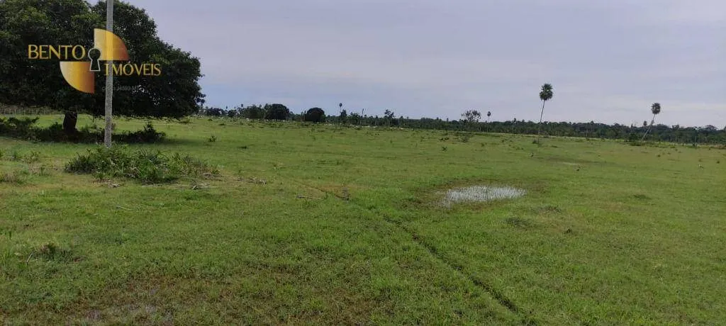 Fazenda à venda de 721 ha em Poconé, MT, Brasil