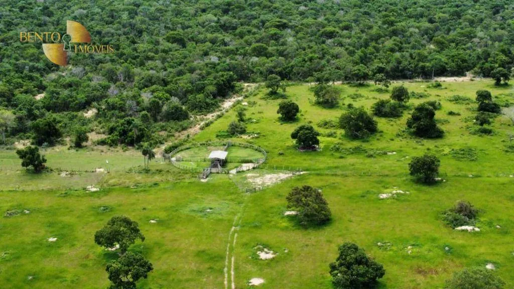 Fazenda à venda de 721 ha em Poconé, MT, Brasil