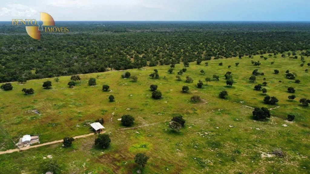 Fazenda à venda de 721 ha em Poconé, MT, Brasil