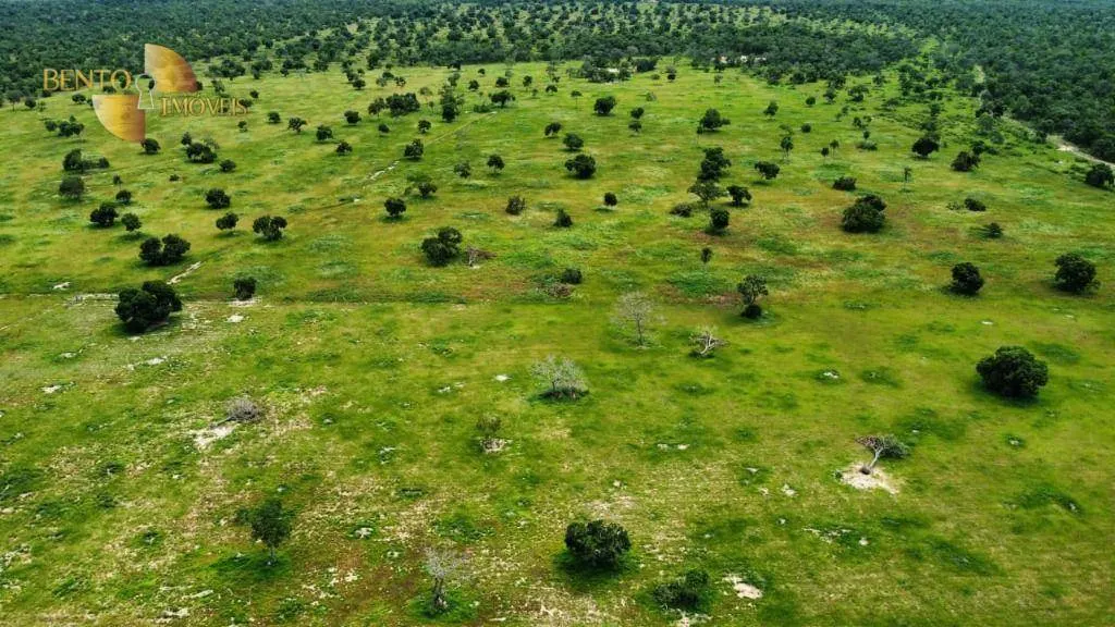 Fazenda à venda de 721 ha em Poconé, MT, Brasil