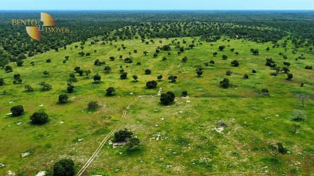 Fazenda à venda de 721 ha em Poconé, MT, Brasil