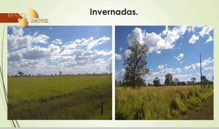 Fazenda à venda de 11.922 ha em Nova Lacerda, MT, Brasil