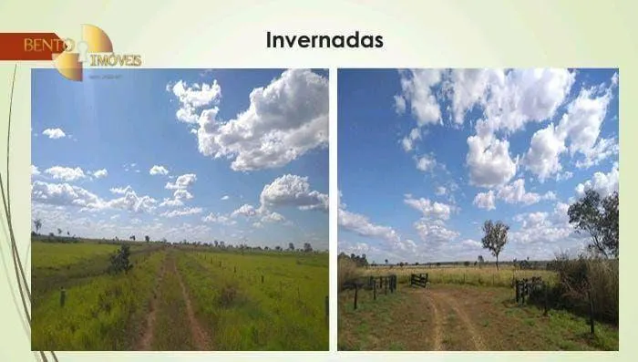 Fazenda à venda de 11.922 ha em Nova Lacerda, MT, Brasil