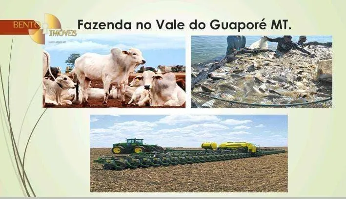 Fazenda à venda de 11.922 ha em Nova Lacerda, MT, Brasil