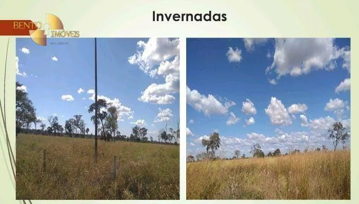 Fazenda à venda de 11.922 ha em Nova Lacerda, MT, Brasil