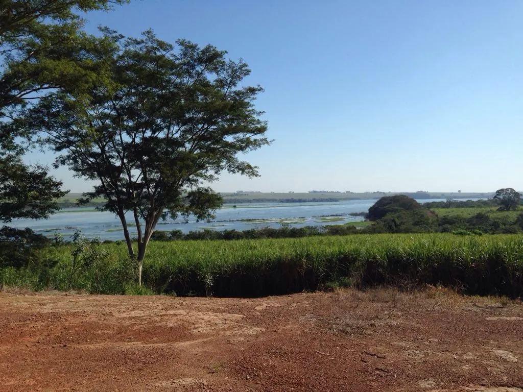 Fazenda à venda e para Arrendar de 5.808 ha em Presidente Prudente, SP, Brasil