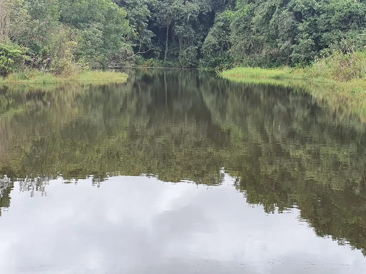 Fazenda à venda e para Arrendar de 5.808 ha em Presidente Prudente, SP, Brasil