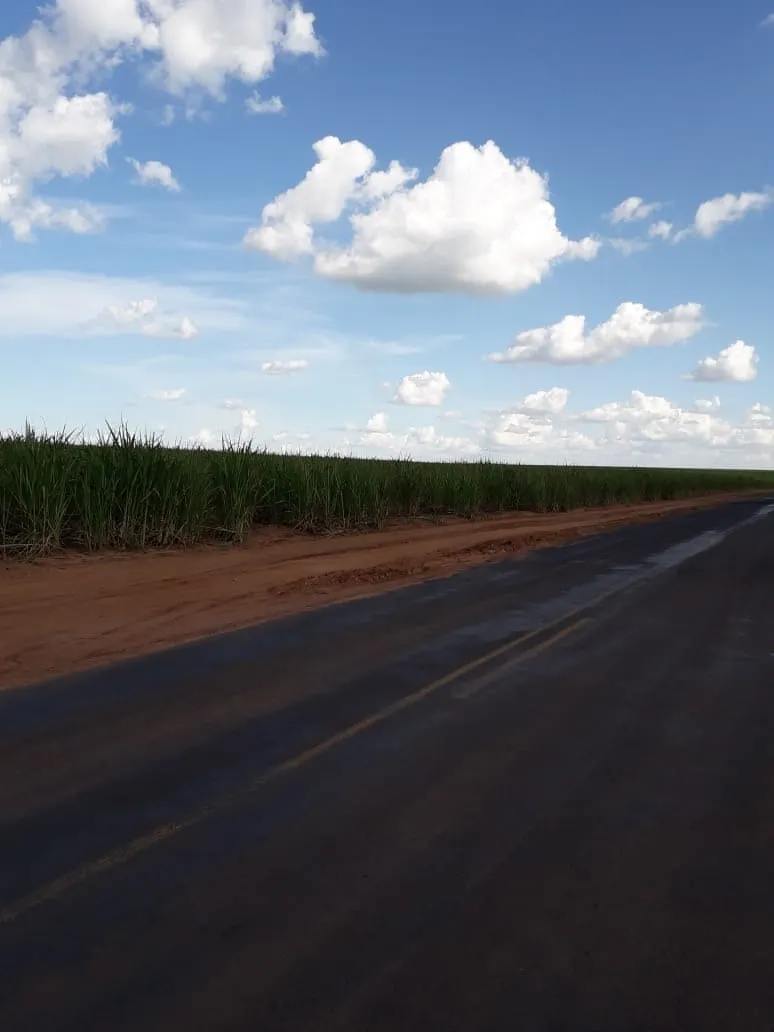 Fazenda à venda e para Arrendar de 5.808 ha em Presidente Prudente, SP, Brasil