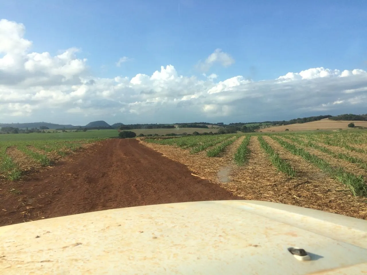 Fazenda à venda e para Arrendar de 5.808 ha em Presidente Prudente, SP, Brasil