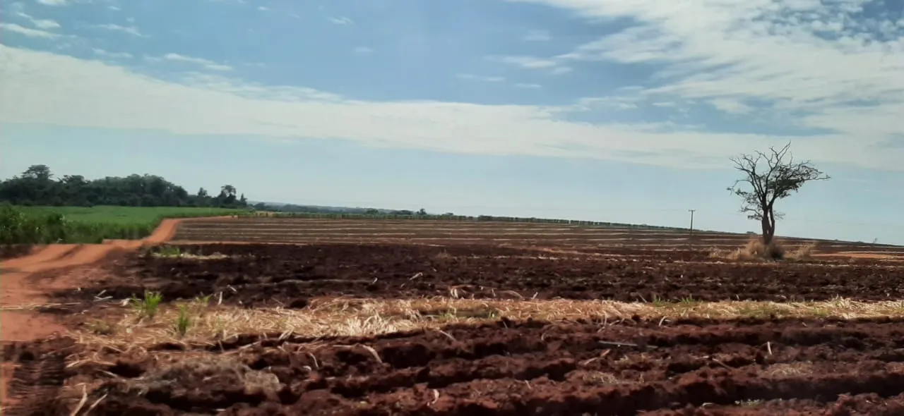 Fazenda à venda e para Arrendar de 5.808 ha em Presidente Prudente, SP, Brasil