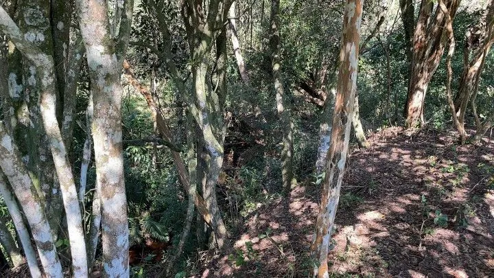 Chácara à venda de 6.800 m² em Santo Antônio da Patrulha, RS, Brasil