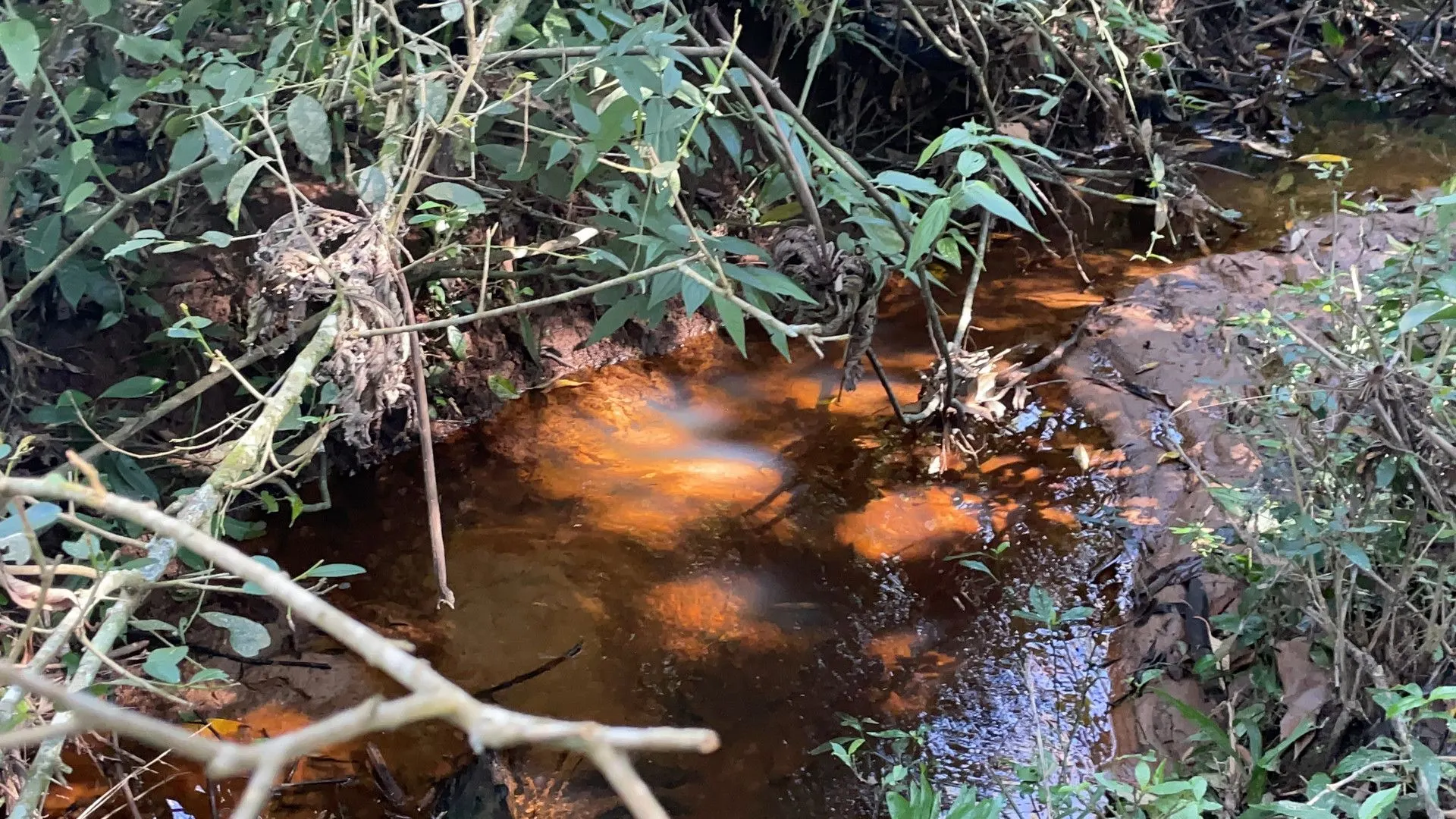 Chácara à venda de 6.800 m² em Santo Antônio da Patrulha, RS, Brasil