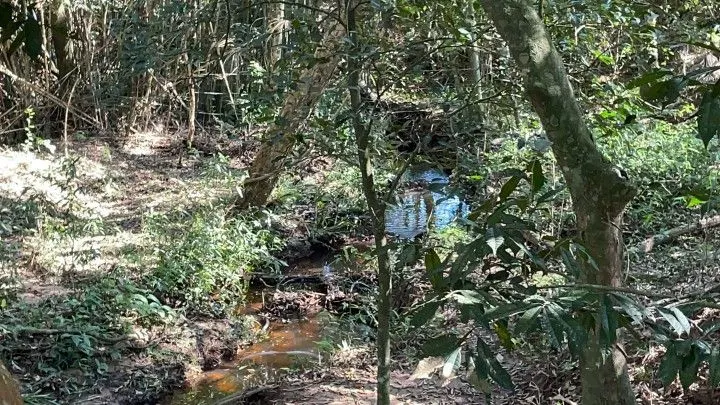 Chácara à venda de 6.800 m² em Santo Antônio da Patrulha, RS, Brasil
