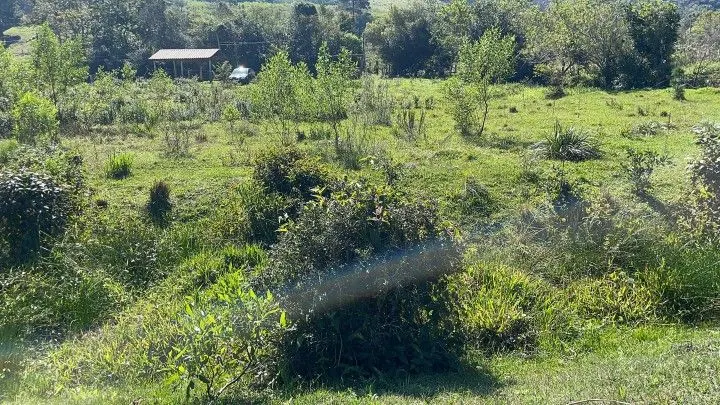 Chácara à venda de 6.800 m² em Santo Antônio da Patrulha, RS, Brasil