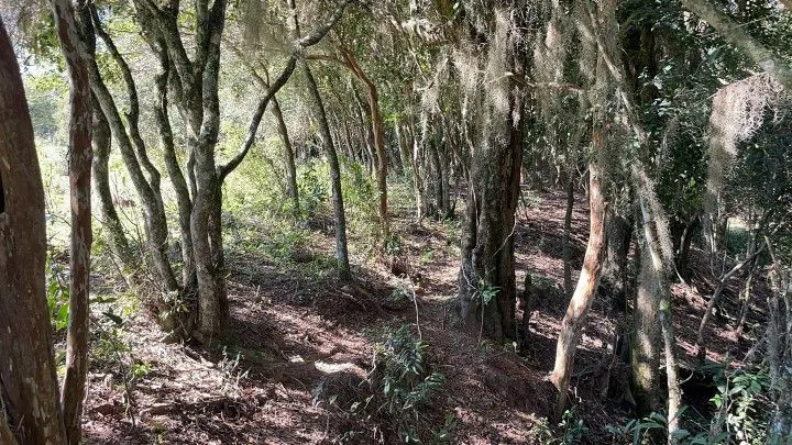 Chácara à venda de 6.800 m² em Santo Antônio da Patrulha, RS, Brasil