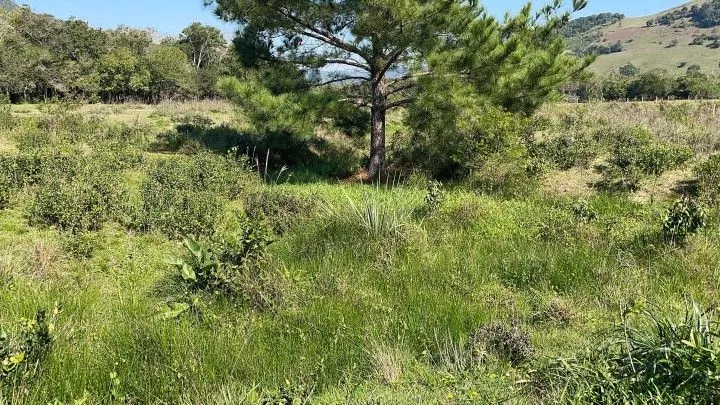 Chácara à venda de 6.800 m² em Santo Antônio da Patrulha, RS, Brasil